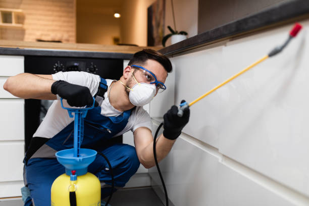 Best Pest Inspection Near Me  in Hubbard, OR