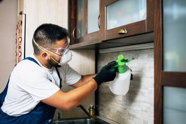 Best Rat Extermination Near Me  in Hubbard, OR