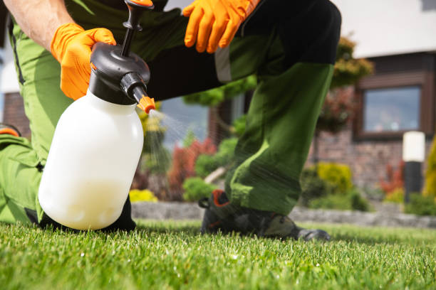 Best Insect Control  in Hubbard, OR