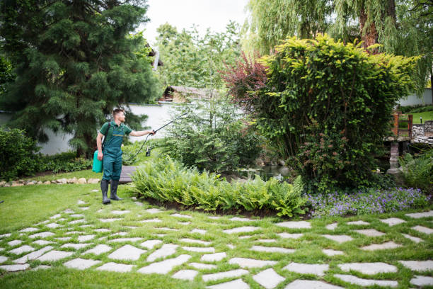Pest Prevention Services in Hubbard, OR