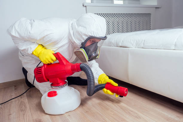 Best Pest Removal Services  in Hubbard, OR