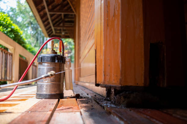 Best Ant Control Services  in Hubbard, OR