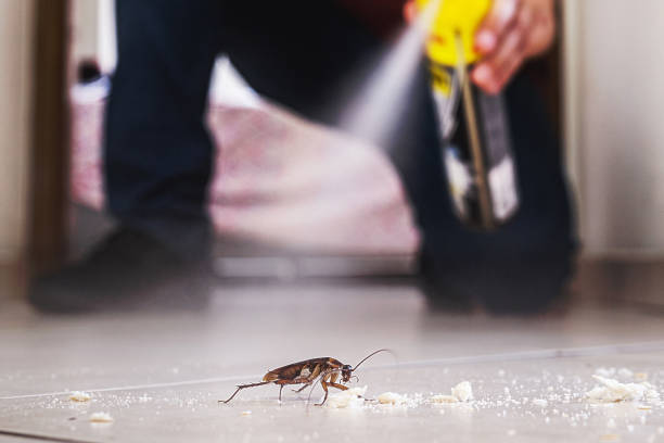 Best Cockroach Control Services  in Hubbard, OR