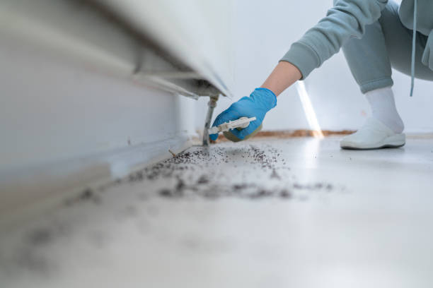 Best Exterminator Services  in Hubbard, OR