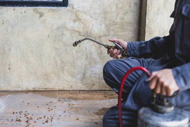 Best Mosquito Control Services  in Hubbard, OR